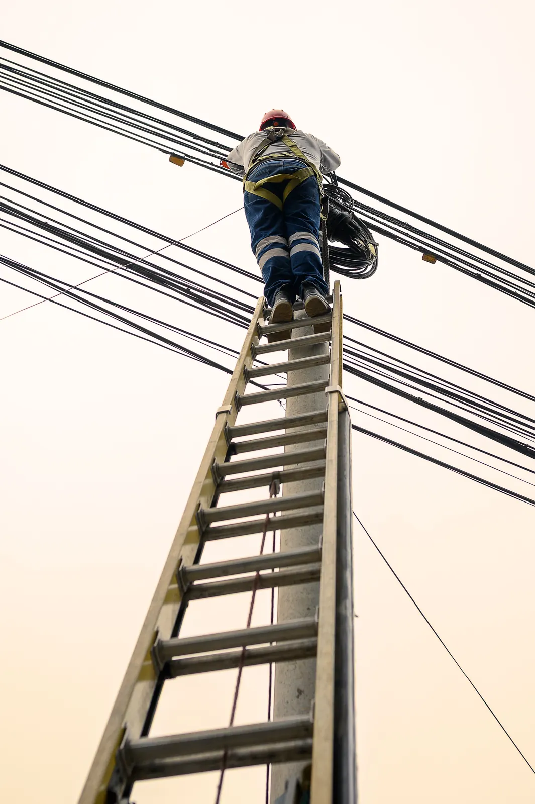 Técnico sobre una escalera trabajando en redes aéreas